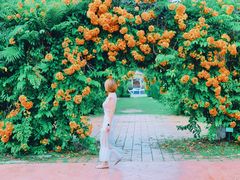 -槟城植物园