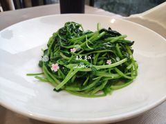 -食神鱼头佛跳墙(百子湾旗舰店)