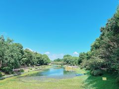 -上海海湾国家森林公园