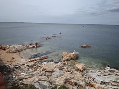 -养马岛旅游度假区