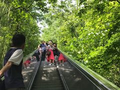 -天目湖山水园
