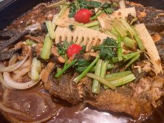 -老板恋上鱼(印象城店)