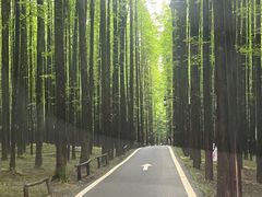 -山王坪喀斯特国家生态公园