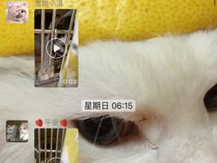 -北京派仕佳德动物医院·超导核磁·CT·神经科·骨科·内外科·急重症管理中心
