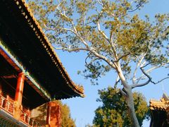 -故宫博物院(故宫)