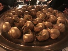 -金蜗牛