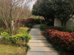 -八大山人梅湖景区