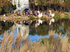 -宁波儿童公园(鄞州区)