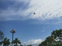 -宝安西湾红树林湿地公园