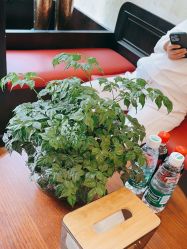 -东方先生国潮男士理发馆