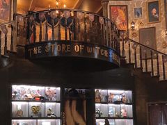 -雪灵魔法世界SHELLY’S TAROT(大良桂畔里店)
