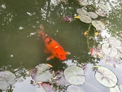 -成都杜甫草堂博物馆