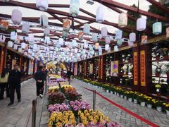 -中国翰园碑林