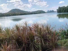 -顺峰山公园
