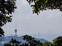 -梧桐山风景名胜区