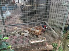 -好江南农庄·农家乐