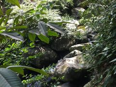 -藏龙百瀑风景区