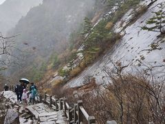 -朱雀国家森林公园