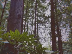 -河南省黄河迎宾馆