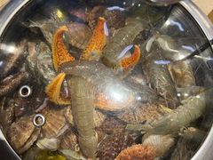 -船梆煮•蒸汽海鲜·炉火烤肉(五四广场店)