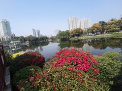 -荔湾湖公园