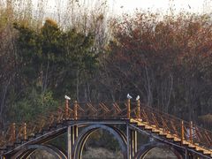 -西昌邛海湿地
