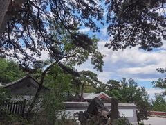 -阳台山自然风景区