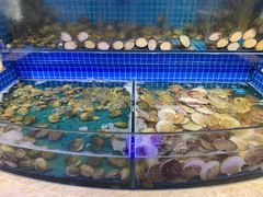 水产区-乔哥铭洋海鲜自助(皇城恒隆广场店)