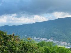 -三亚亚龙湾人间天堂鸟巢度假村