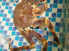 -醉湘厨艺(才华街店)