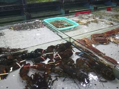 -渔傅·蓝海岸霞浦海鲜(正祥店)