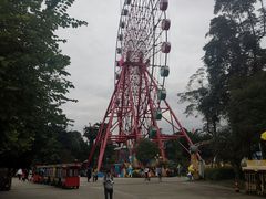 -南湖梦幻岛