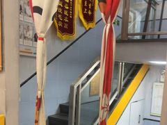 -渲嗳动物医院(异宠·复杂内科转诊中心·玖洲道富华里分院)