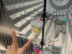 -蛙小侠(柳州万象城店)