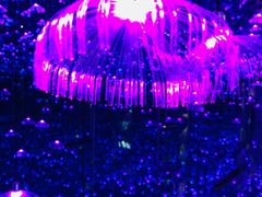 -杭州西湖星空魔幻城(星空艺术馆品牌旗舰店)