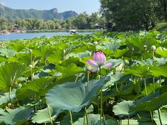 -承德避暑山庄景区