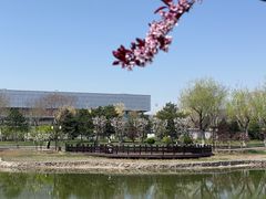-西海子公园