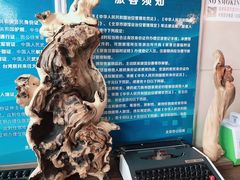 -龙福源密云水库灶台鱼