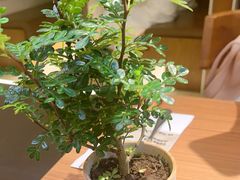 -CURRY YA 熟成咖哩專門店(深圳湾万象城店)