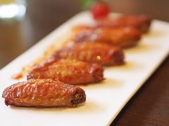 -百好乐宠物友好餐厅(朝外大街店)