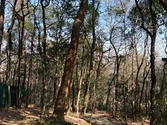 -九曜山