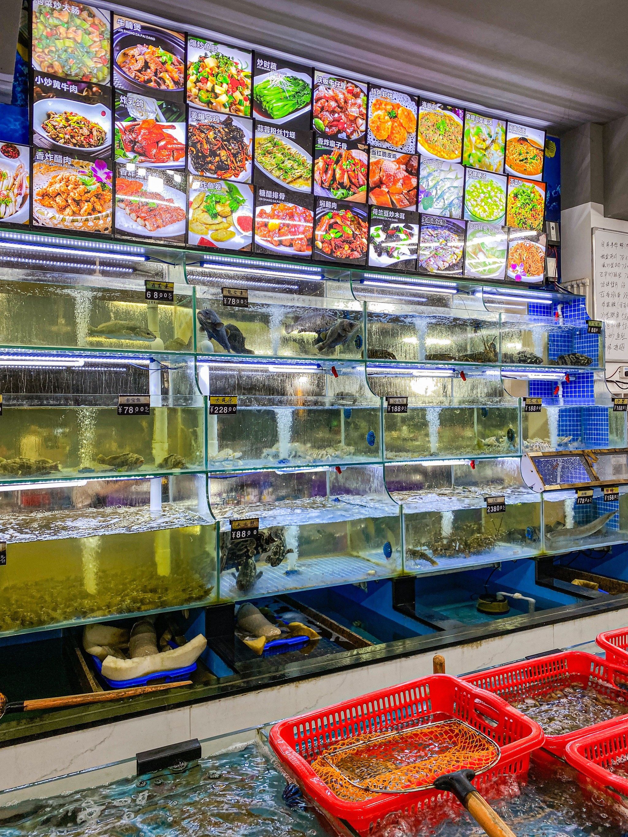 在石狮!这家闽南海鲜大排档真的特啊!