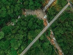 -九龙江国家森林公园