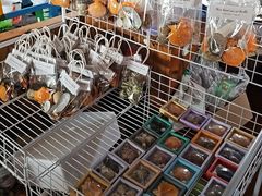 -蓝湾碧波·老字号·疍家非遗海上餐厅