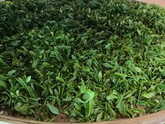 -阿巧茶庄