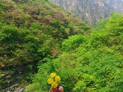 -孤山寨风景区