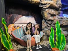 -江和美海洋公园