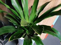 -斯博特游泳俱乐部(万象城店)