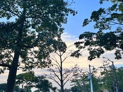 -二沙岛艺术公园