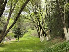 -青藏高原野生动物园